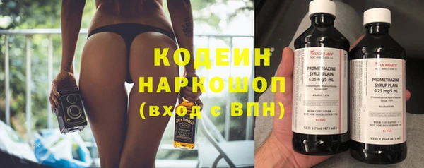 хмурый Корсаков