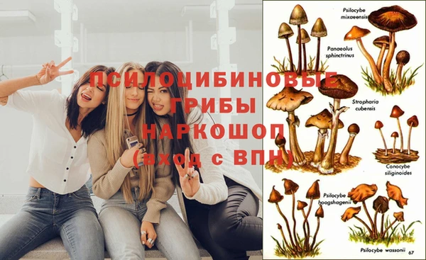 прущая мука Костерёво