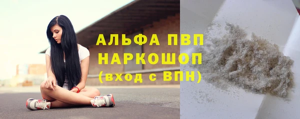 хмурый Корсаков