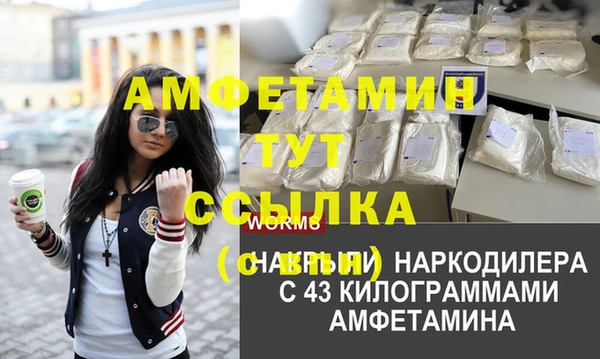 гидра Козловка