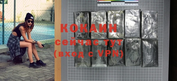 хмурый Корсаков