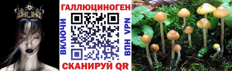 Псилоцибиновые грибы мухоморы  Купить где  Добрянка 